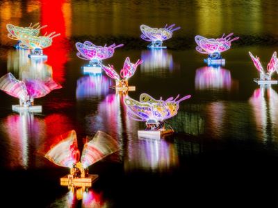 From December 2, 2023 to February 25, 2024, a series of dazzling light installations in the form of fluttering butterfli