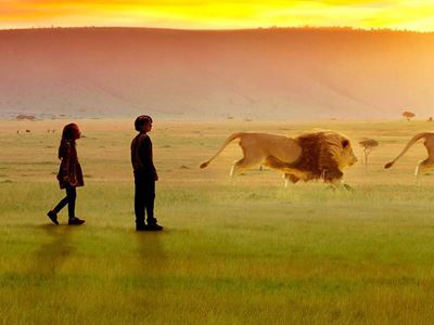 "WILD" invites guests on an immersive safari adventure across Africa