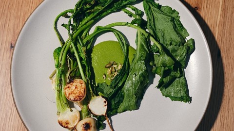 Elio - Green Mole