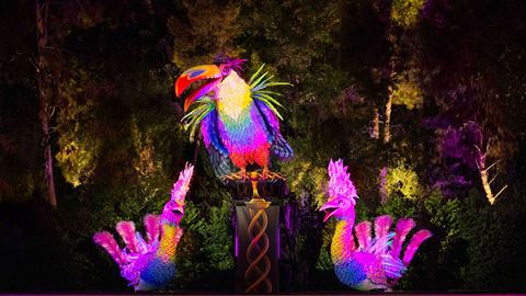 lake-of-dreams---lady-birds