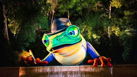 lake-of-dreams---singing-frog-2