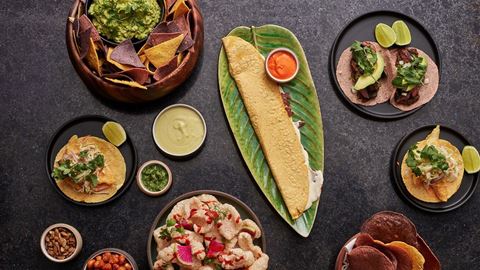 Casa Playa at Encore Las Vegas