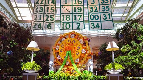 Encore Boston Harbor Designated as the "Official Resort and Casino" of the Boston Celtics