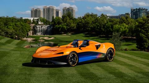McLaren Elva