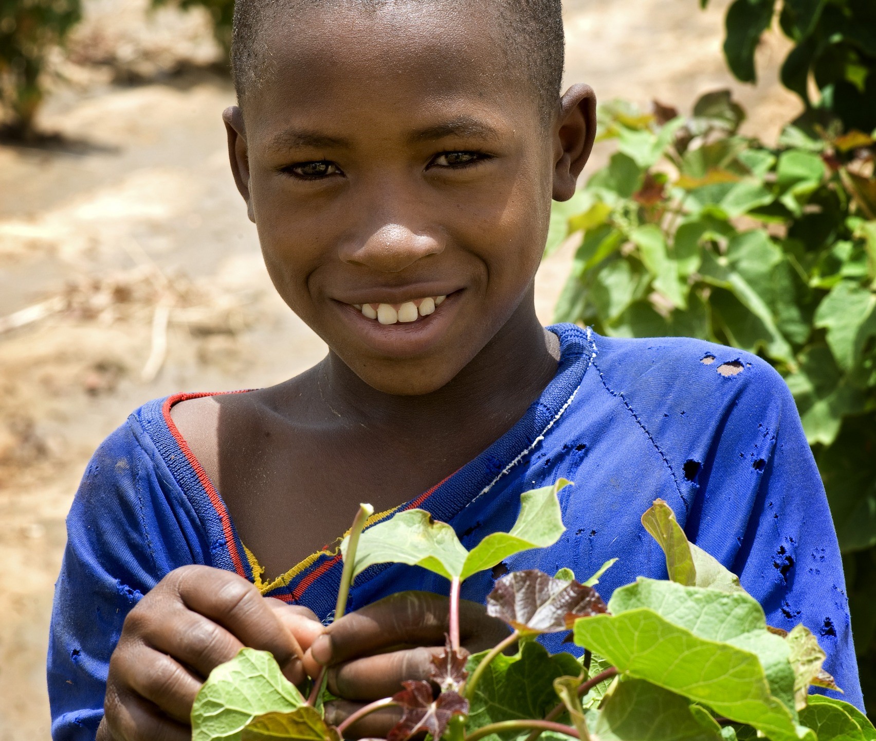 Kia CSR Project in Mali Planting for a Better Life