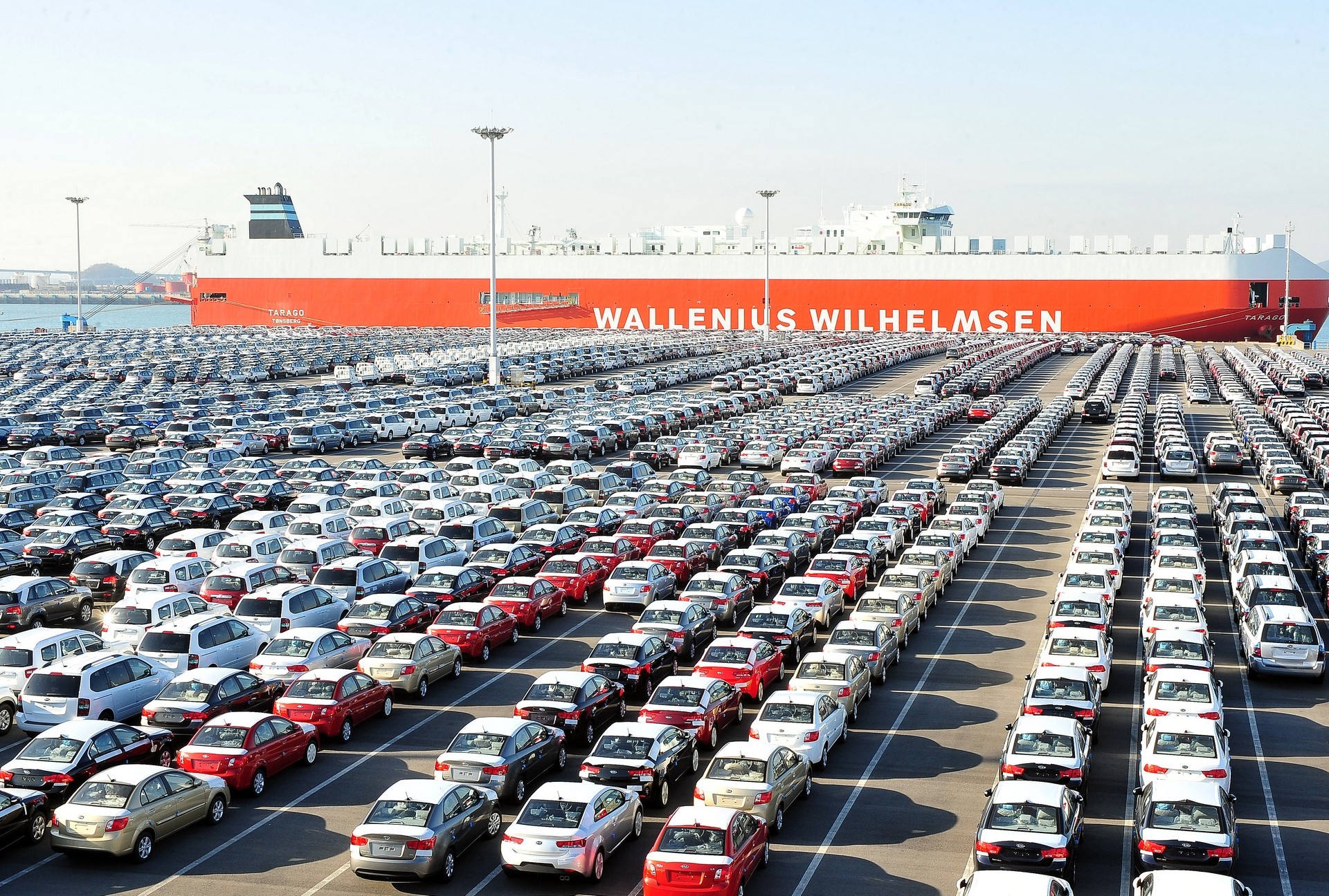 Kia Cars Awaiting Shipment at Pyeongtaek Port