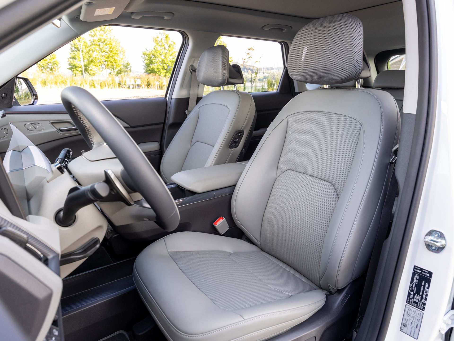 EV5 Earth Snow White Pearl Detail