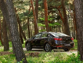 All-new 2017 Kia Cadenza