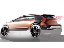 Niro - Rear orange signed Niro - Rear orange signed