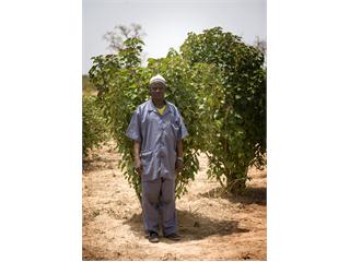 Kia Pledges €1.5 Million for Charity Shrub Planting Programme in Africa