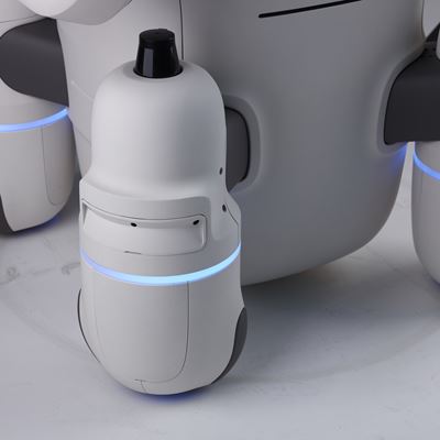 Advanced Humanoid Robot ‘DAL-e’