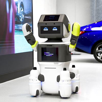 Advanced Humanoid Robot ‘DAL-e’