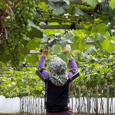 Hyundai Motor and Kia Expand Use of Wearable Robot in Agriculture