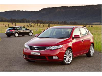 Kia Bucks Market Trend