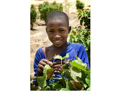 Kia CSR Project in Mali Planting for a Better Life