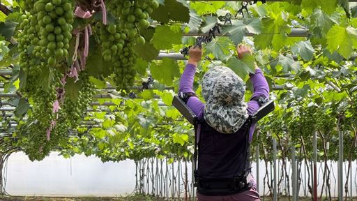Hyundai Motor and Kia Expand Use of Wearable Robot in Agriculture