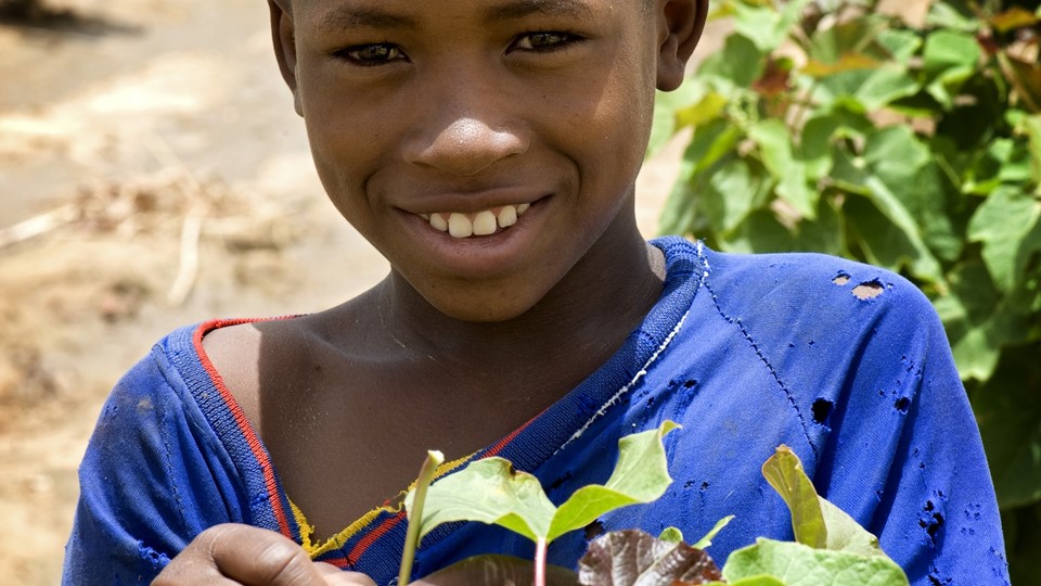 Kia CSR Project in Mali Planting for a Better Life