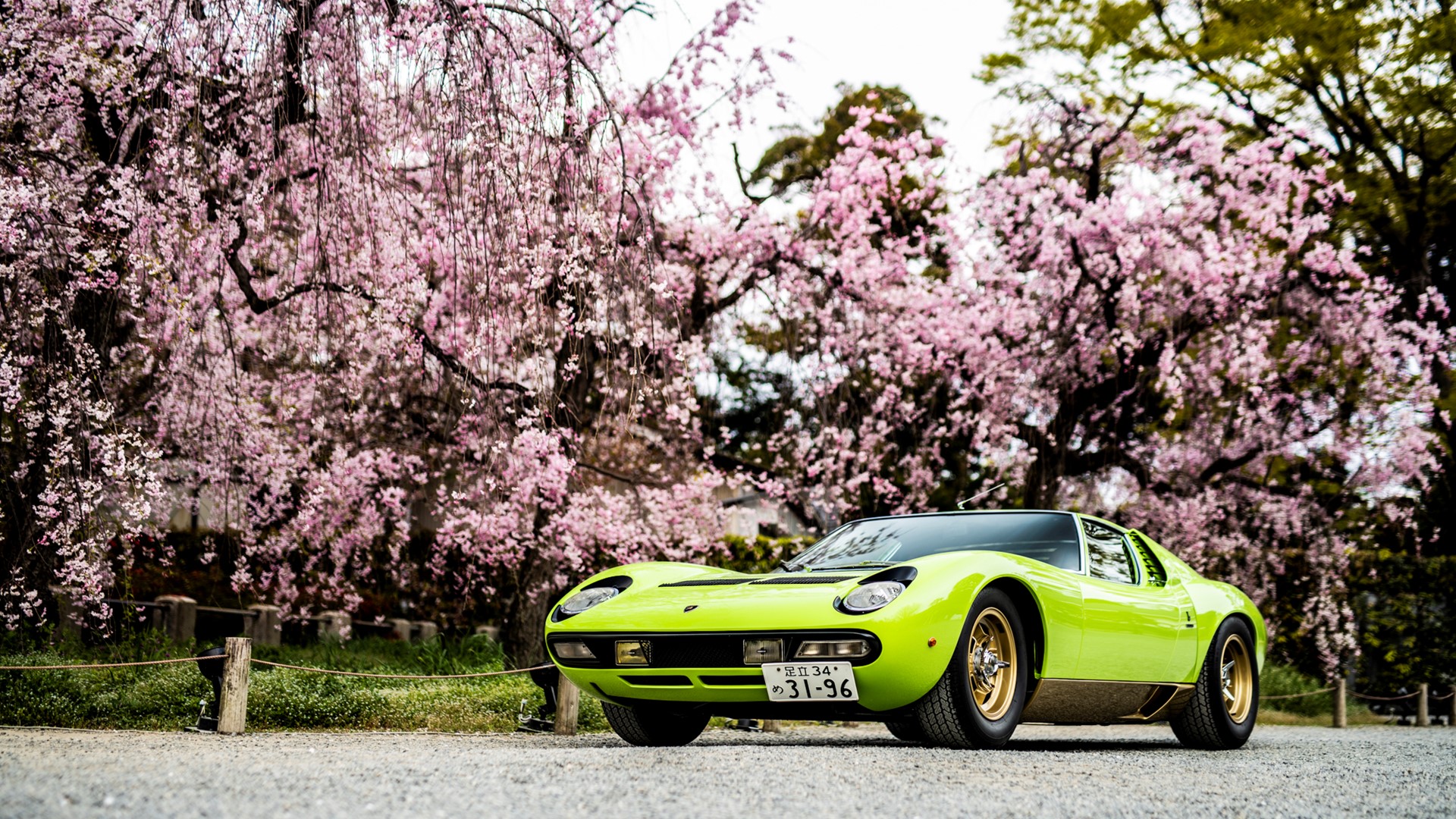 Miura SV(1971), Best Lamborghini,  Concorso d'Eleganza Kyoto 2019 - Credit Remi Dargegen - Automobili Lamborghini