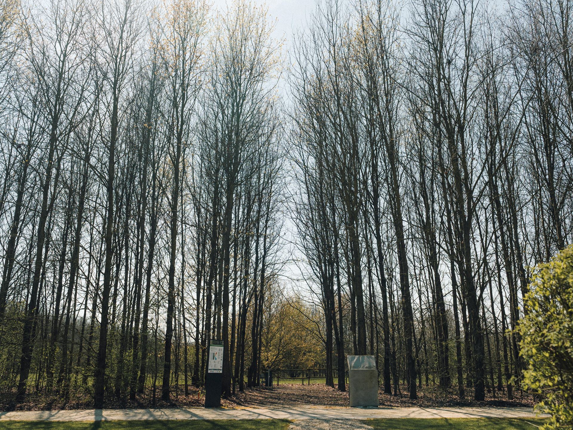 Automobili Lamborghini Sustainability Report
