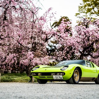 Miura SV(1971), Best Lamborghini,  Concorso d'Eleganza Kyoto 2019 - Credit Remi Dargegen - Automobili Lamborghini