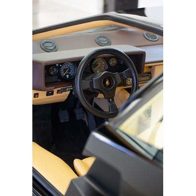 Lamborghini Wolfsonian Exhibition 2021