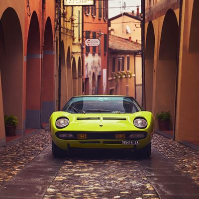 Verde Scandal Miura