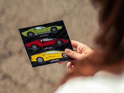 Lamborghini Arena Polo storico