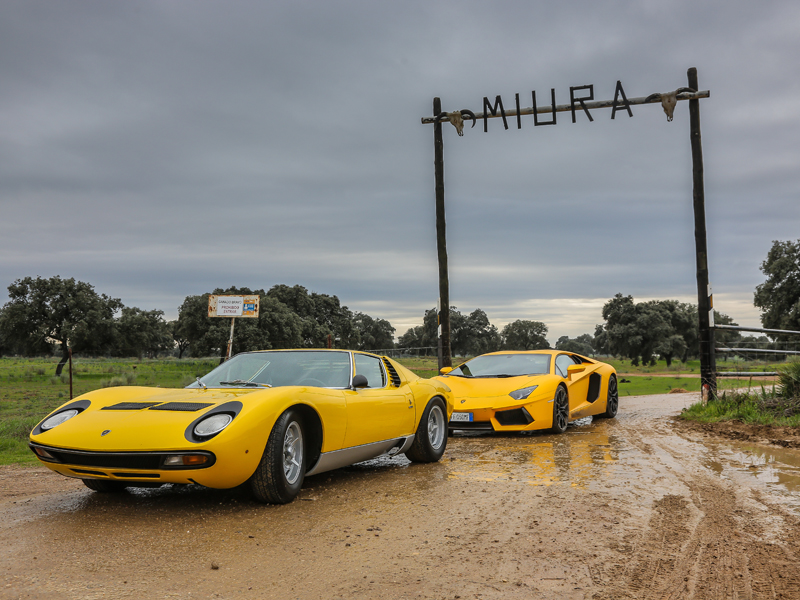 Miura back to the name 22 Miura back to the name 22