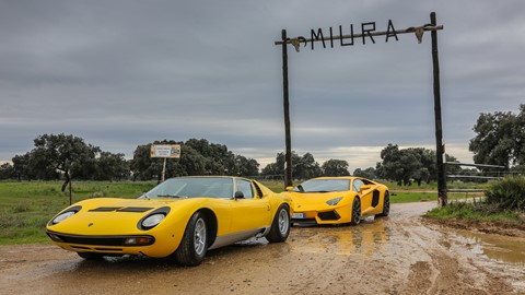 Miura back to the name 22