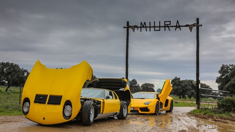 Miura back to the name 19