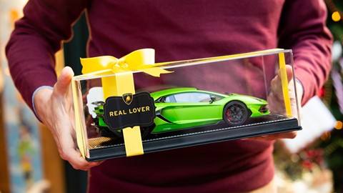 Lamborghini Real Lover (2)