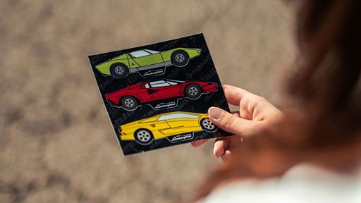 Lamborghini Arena Polo storico